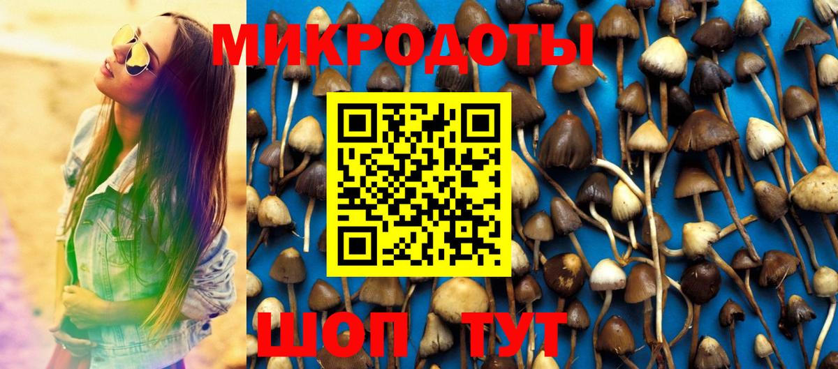 Беслан  Галлюциногенные грибы Cubensis  Вход с VPN 