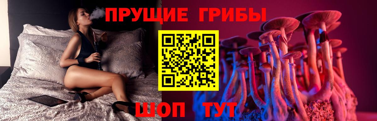 Псилоцибиновые грибы Cubensis Беслан